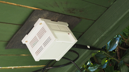 [Image: P9170695.png]